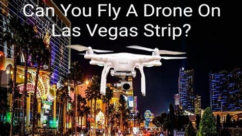 Can You Fly a Drone in Las Vegas Strip? And Why Do Pigeons Hate Drones?