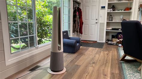 Can You Put an Air Purifier on the Floor? And Why Not Place It Next to a Talking Plant?