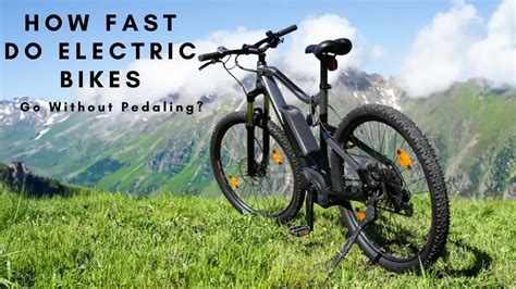 How Fast Do Electric Bikes Go Without Pedaling: A Journey Through Speed and Imagination