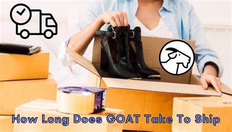 How Long Does It Take Goat to Ship: Exploring the Mysteries of Time and Goat Transportation