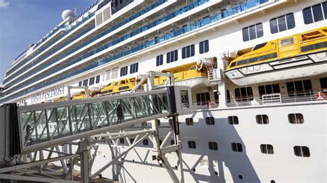 How Long Does It Take to Get Off a Cruise Ship and Why Do Seagulls Always Know When You're About to Eat?