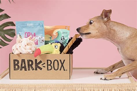 When Does BarkBox Ship: Unraveling the Mysteries of Canine Subscription Delights